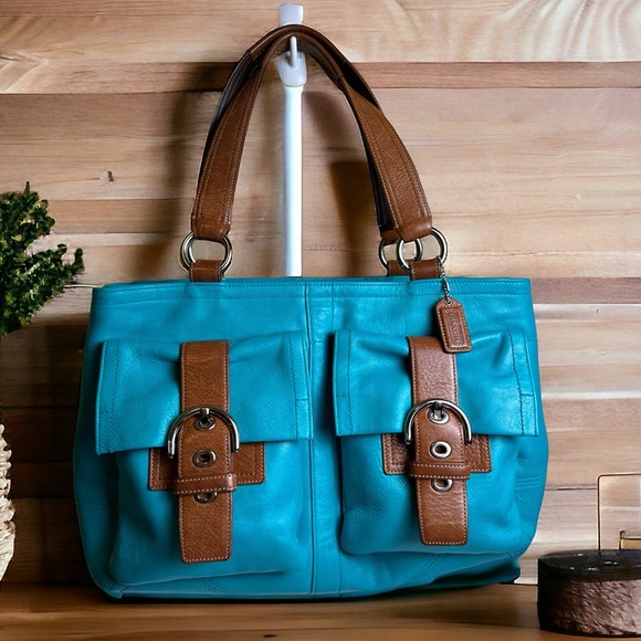 Authentic Coach SoHo Leather Satchel: Custom Painted Leather - Picture 1 of 16